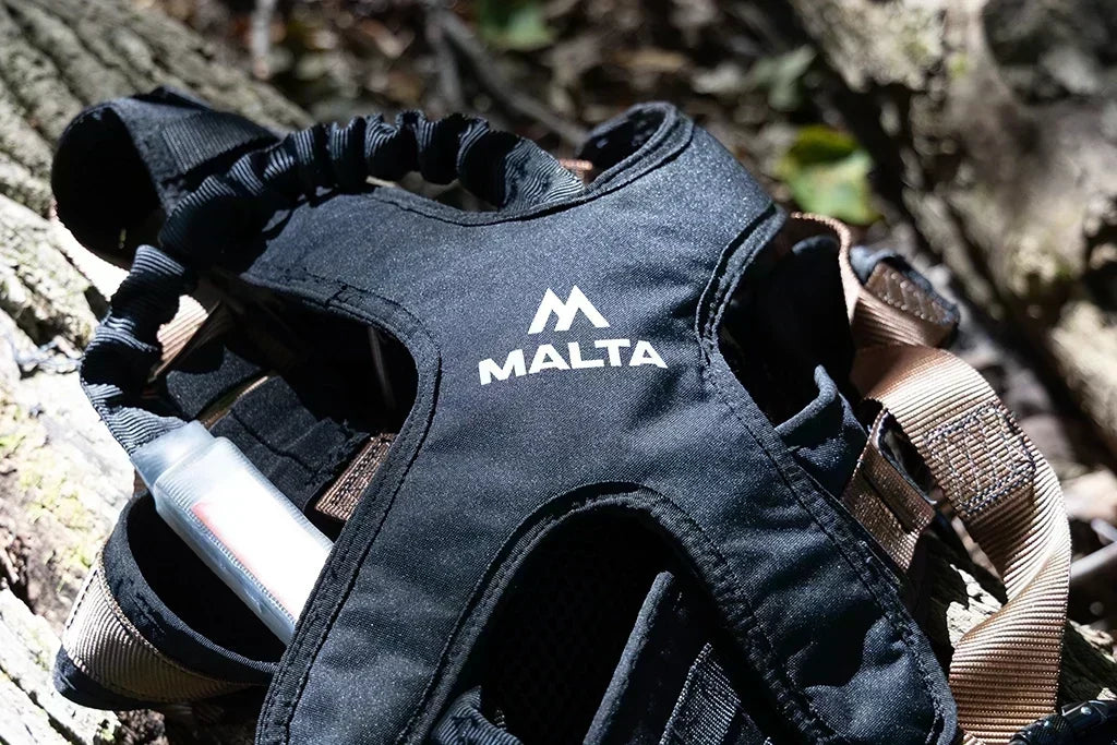 Tree Stand Harness for Big Guys: Fit & Capacity Guide
